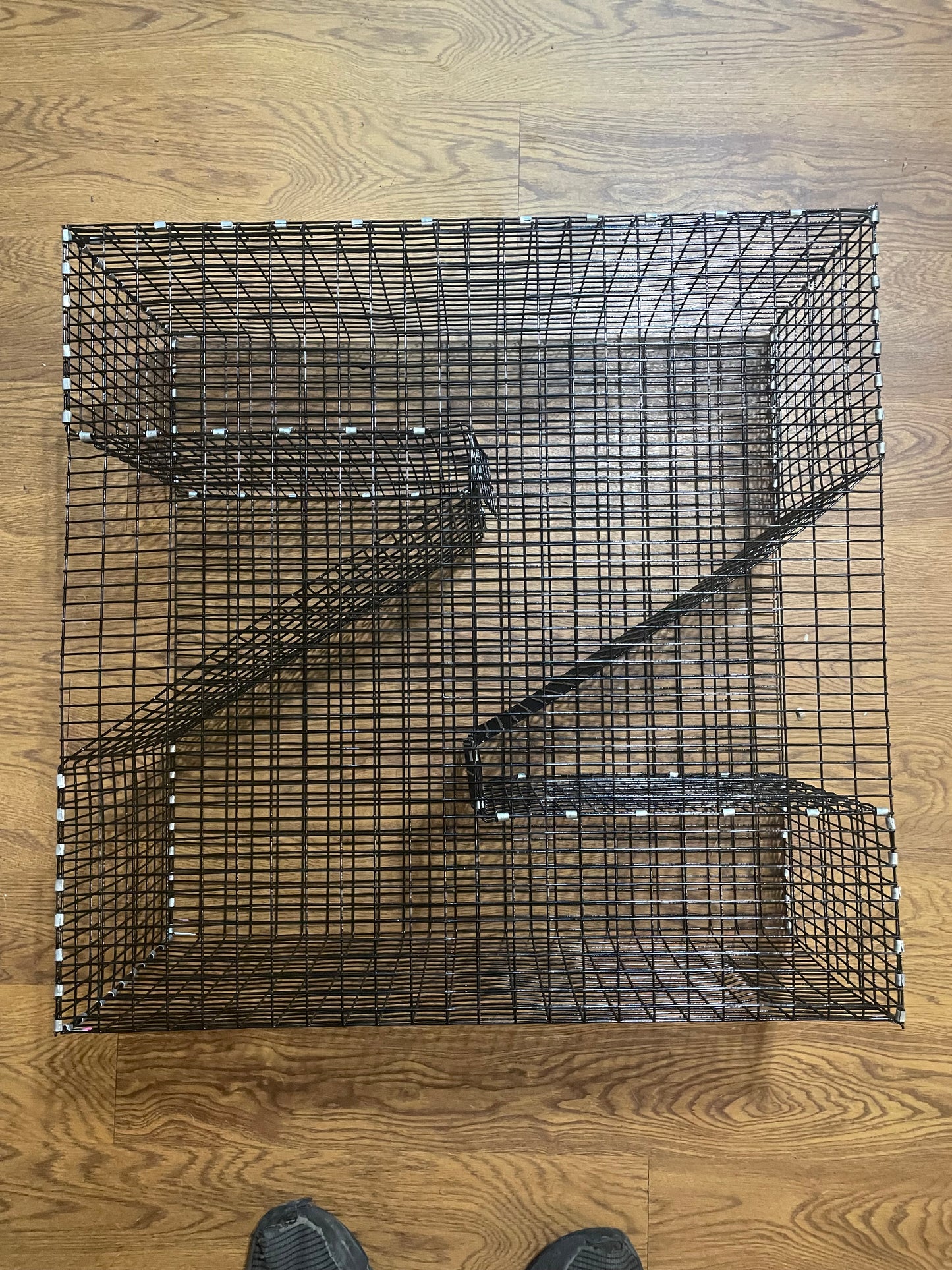 Bankpolefever Z-Traps